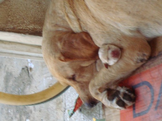 MI GORDITA DURMIENDO CON SU BEBE