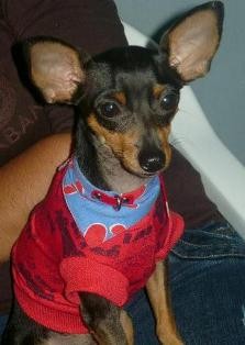 Soy muy travieso.. Soy muy travieso..