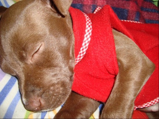 Durmiendo