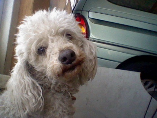 aqui willy posando para foto aqui willy posando para foto