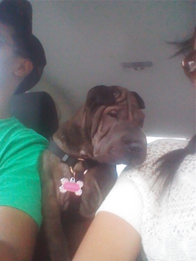Paseando con la familia Paseando con la familia