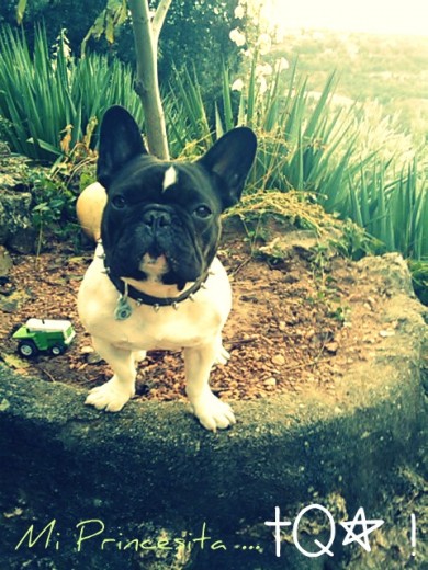 Mi gordita, un día que nos aburriamos (: Mi gordita, un día que nos aburriamos (: