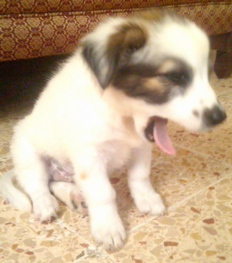 Ahhhh (bostezo) que dia mas estresante hehehehe Ahhhh (bostezo) que dia mas estresante hehehehe
