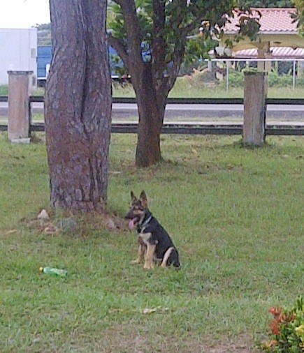 wanda con 5 meses wanda con 5 meses
