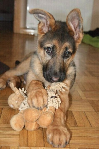 itachi con unos meses menos.