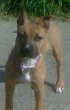 Mi dunilla con 5 meses Mi dunilla con 5 meses