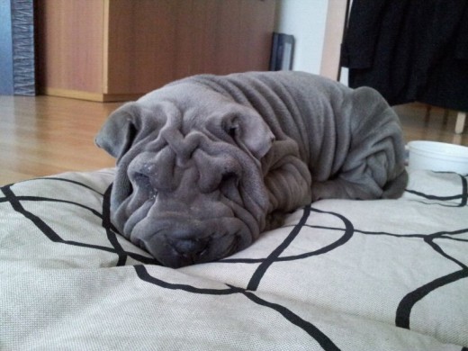 Primera siesta en casa!! Primera siesta en casa!!