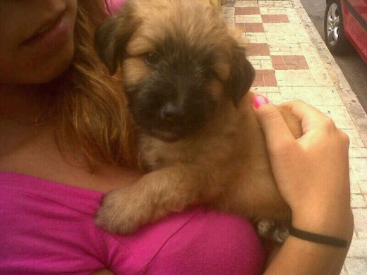 Primer dia con mami!! Primer dia con mami!!