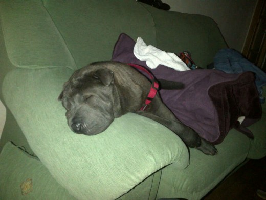 A lo comodo siempre XD A lo comodo siempre XD