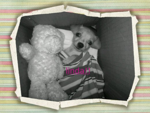 Twayla con su osos de dormir.. Twayla con su osos de dormir..