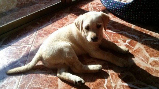 Al solecito :) Al solecito :)