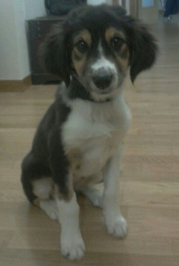 Con 3 meses.. Con 3 meses..