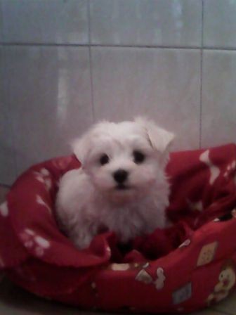 mi princesa Kira mi princesa Kira