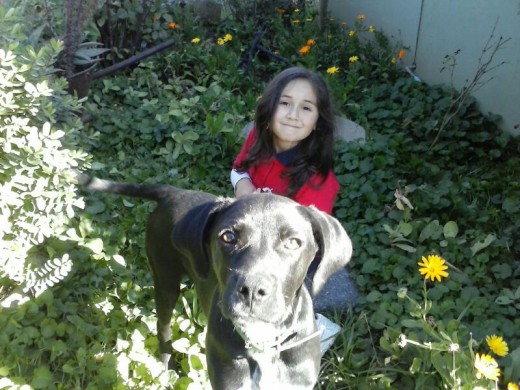 Mindy junto a mi hija catalina andrea.

Es una loquilla mestiza labrador