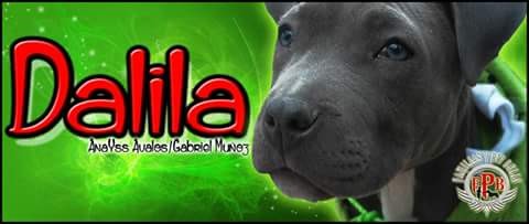 Dalila ♡