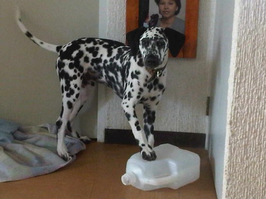 Jugando Jugando