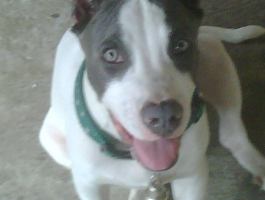 Lucca Genaro Charry <3 Lucca Genaro Charry <3