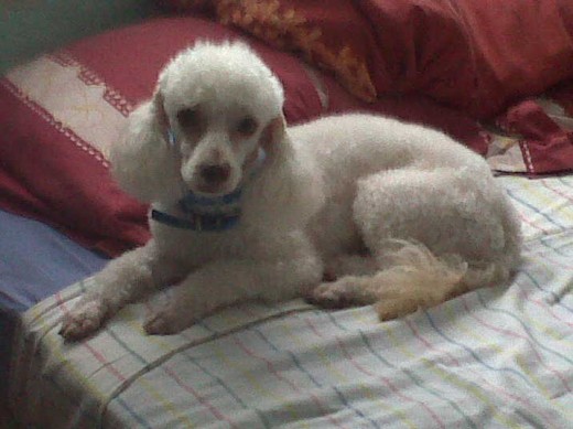 mi bb en la camita