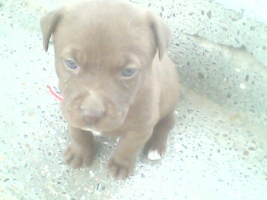 ahi llevaba solo 1 semana en la familia!!!