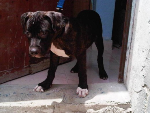 Káisser, loco por bajar para caerme atrás, jejejej Káisser, loco por bajar para caerme atrás, jejejej