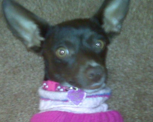 olgo breve ella es toda un hermosa bb olgo breve ella es toda un hermosa bb