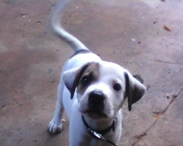 2 meses. 2 meses.