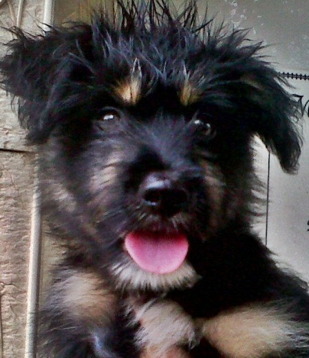 2 meses 2 meses