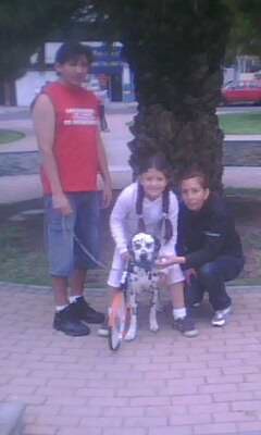 Familia de Layka