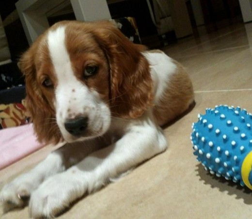 Guapa!!! Guapa!!!