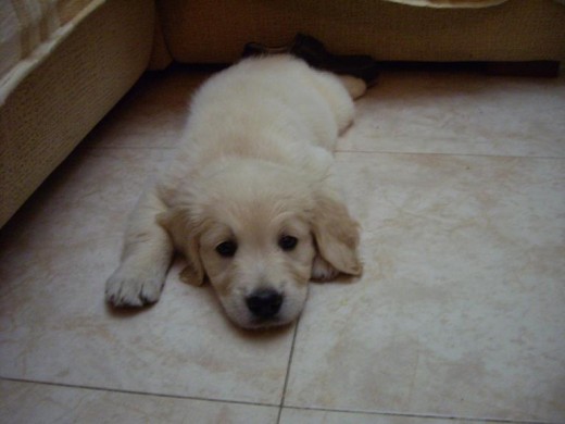 zhar con dos meses zhar con dos meses