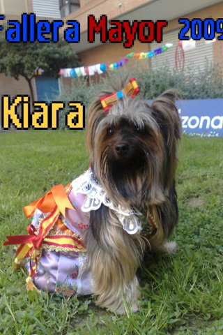 esta es kiara,en la puerta del casal,en 2009 fue la fallera mayor.