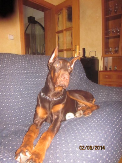 Mi niño descansando despues de jugar
