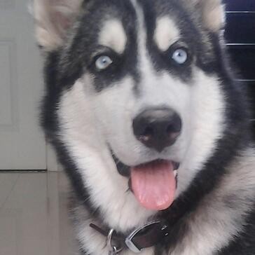 Coco a los 6 meses