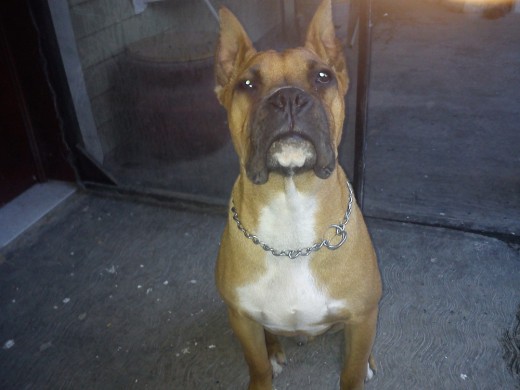 ROCKO ROCKO