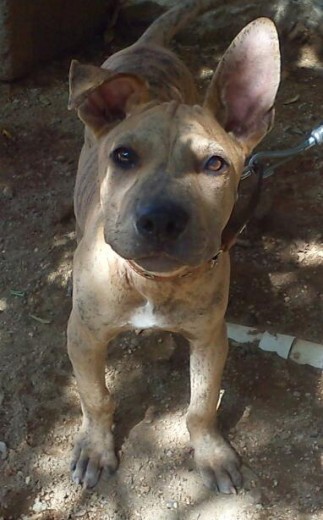3 1/2 meses 3 1/2 meses