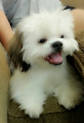 Hermosooo Hermosooo