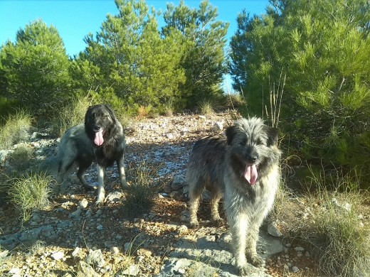 thor y xena thor y xena