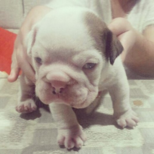 TAYSON TAYSON