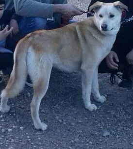 De paseo De paseo