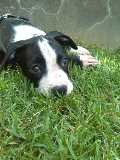 Mi sindy♥ 2 meses Mi sindy♥ 2 meses