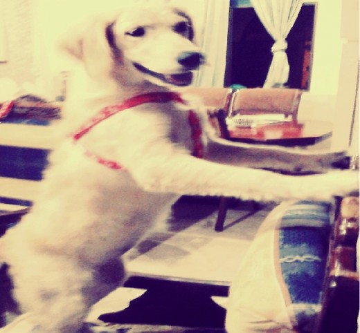 Juguetona :D Juguetona :D