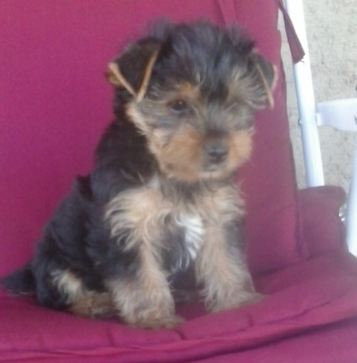 Mi niño con 2 meses y dias!! 