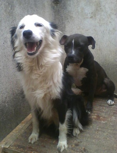 Las buenas amigas. Inseparables. En esta casa no hay racismo. Cada uno de mis hijos ha tenido antes una historia dificil...