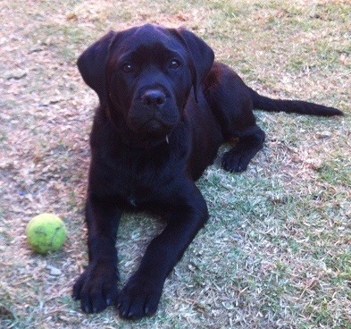 Bruno, posando para la foto!!