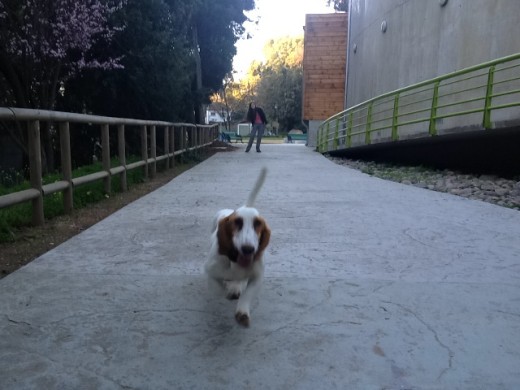 morita hermosaa morita hermosaa