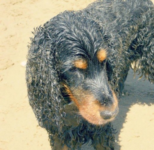 Noa en la playa