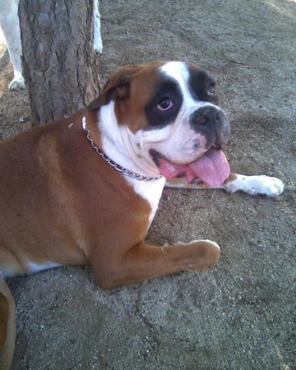 Mi Peque!! Mi Peque!!