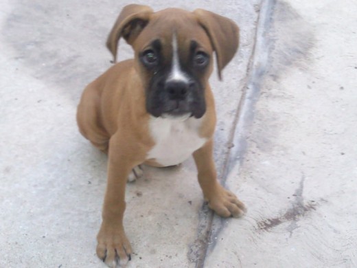 KOFY KOFY