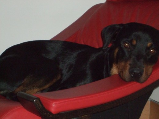 Kalah descansando... Kalah descansando...