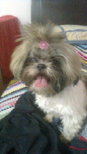 EN CAMA DE MI MAMITA!!!! EN CAMA DE MI MAMITA!!!!